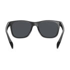 ESTEEM, Black Matte-Axis Polarized, hi-res image number null